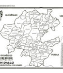 Hidalgo – División política c/n
