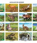Animales del bosque (16 fig.)