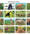 Animales de la selva (16 fig.)