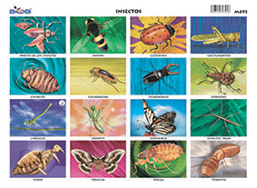 M493 Insectos 2 (25 pzas)