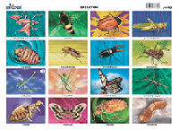 M493 Insectos 2 (25 pzas)