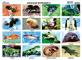 M514 Animales ovíparos 2 (25 pzas)