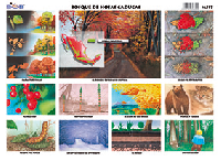 M517 Bosque de hojas caducas (25 pzas)