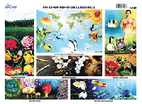 M527 Cinco reinos de la biología (25 pzas)