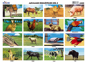 M543 Animales domésticos 3 (25 pzas)