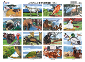 M544 Animales domésticos 4 (25 pzas)