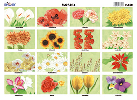 M548 Flores 2 (25 pzas)