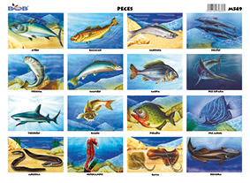 M549 Peces 3 (25 pzas)