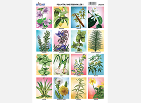 M550 Plantas medicinales 1 (25 pzas)