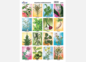 M551 Plantas medicinales 2 (25 pzas)