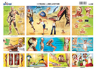 M555 Sistema locomotor (25 pzas)