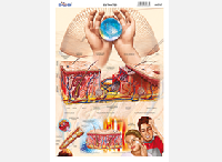 M567 Tacto (25 pzas)