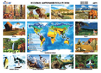 M571 Regiones naturales de la tierra (25 pzas)