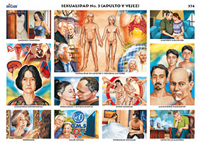 M574 Sexualidad 3 / adultez y vejez (25 pzas)