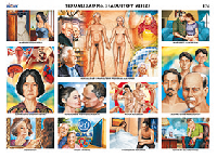 M574 Sexualidad 3 / adultez y vejez (25 pzas)