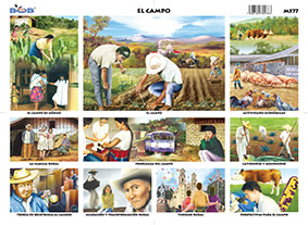 M577 Campo (25 pzas)