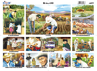 M577 Campo (25 pzas)