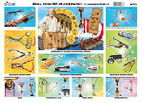 M582 Física: Principio de Arquímedes / poleas y palancas (25 pzas)