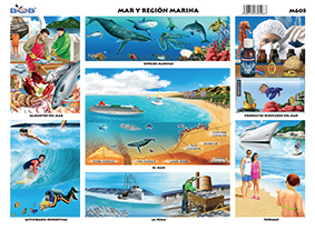 M605 Mar y región marina (25 pzas)