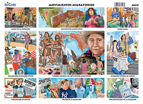 M615 Migración / Movimientos migratorios (25 pzas)