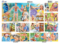 M617 Cáncer (25 pzas)