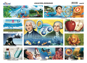M619 Ciclo del oxígeno