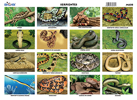 M638 Serpientes (25 pzas)