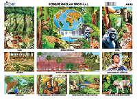 M642 Bosque o selva tropical (25 pzas)