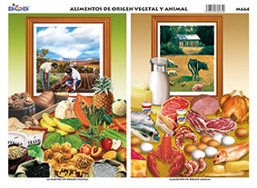 M664 Alimentos de origen vegetal y animal (25 pzas)