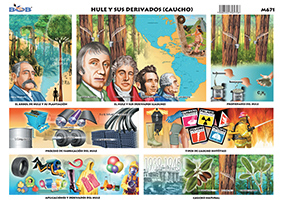 M671 Hule y derivados / caucho (25 pzas)