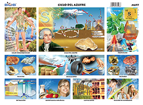 M697 Ciclo del azufre (25 pzas)