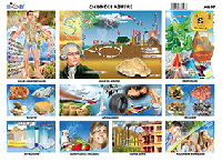 M697 Ciclo del azufre (25 pzas)