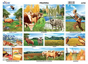 M718 Pradera (25 pzas)