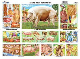 M725 Cerdo y sus derivados (25 pzas)