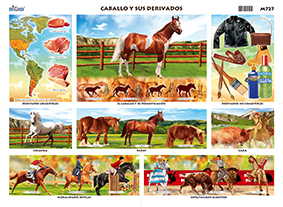 M727 Caballo y sus derivados (25 pzas)