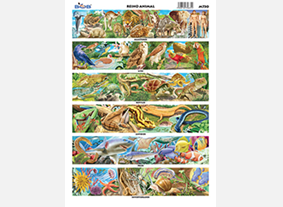 M730 Reino animal (25 pzas)