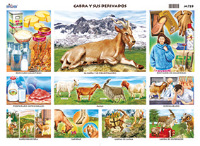 M735 Cabra y sus derivados (25 pzas)