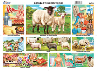 M736 Borrego y sus derivados (25 pzas)