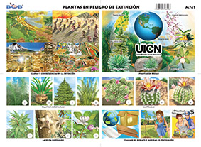 M741 Plantas en peligro de extinción (25 pzas)