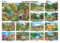 M752 Ecosistema mexicano (25 pzas)