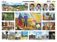 M790 Estado de Sonora (25 pzas)