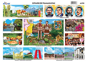 M795 Estado de Tamaulipas (25 pzas)