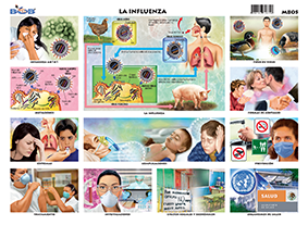 M805 Influenza (25 pzas)