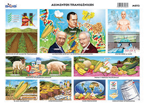 M812 Alimentos transgénicos (25 pzas)