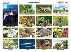 M829 Insectívoros (25 pzas)