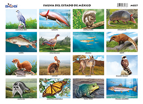 M837 Flora del Estado de México (25 pzas)