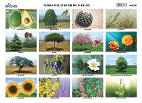 M838 Fauna del Estado de México (25 pzas