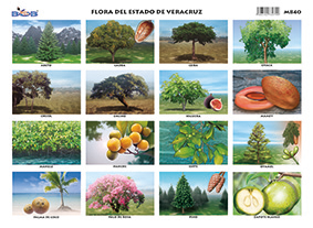 M840 Fauna del Estado de Veracruz (25 pzas)