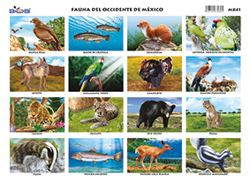 M841 Flora del Occidente de México (25 pzas)