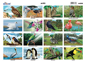 M858 Aves - 16 figuras (25 pzas)